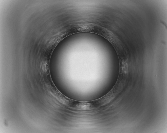 X0000103270514200808291243