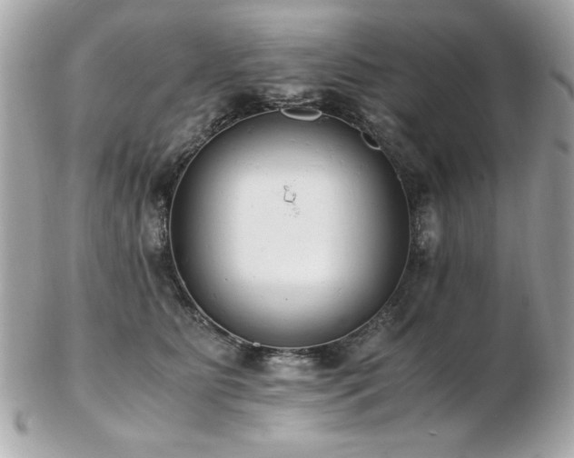 X0000103270515200808291243