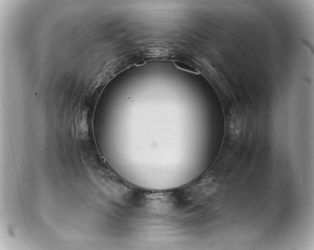 X0000103270516200808291243