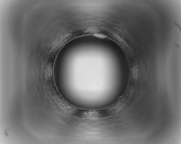 X0000103270517200808291243