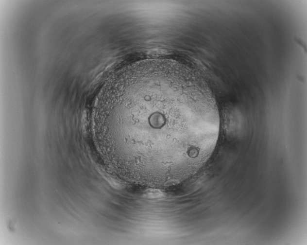 X0000103270519200808291243