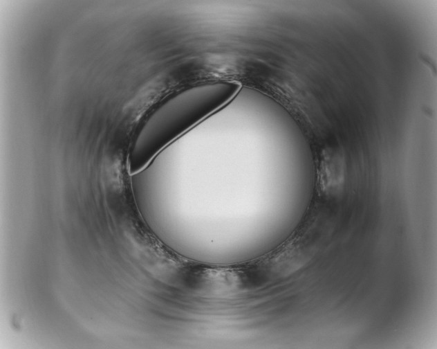 X0000103270520200808291243