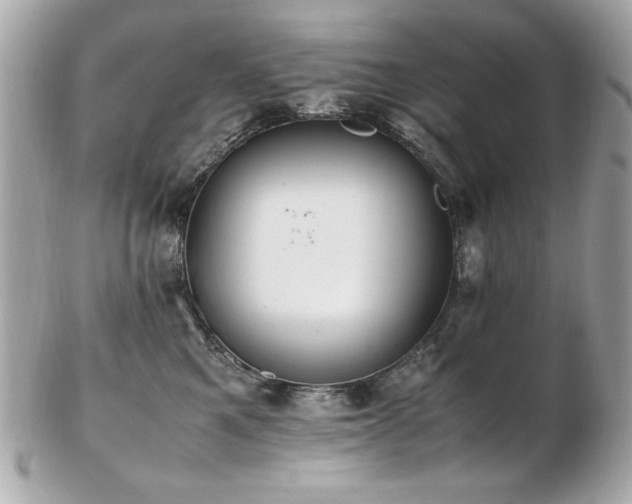 X0000103270521200808291243