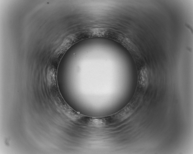X0000103270522200808291243