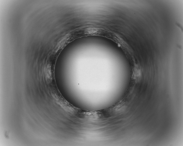 X0000103270524200808291243