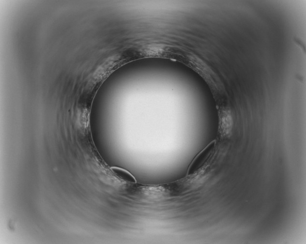X0000103270525200808291243