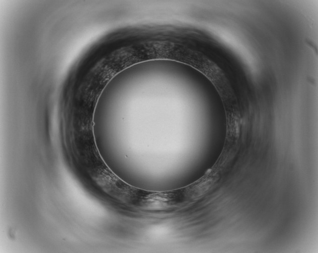 X0000103270526200808291243