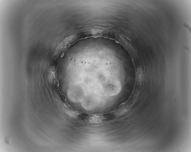 X0000103270527200808291243
