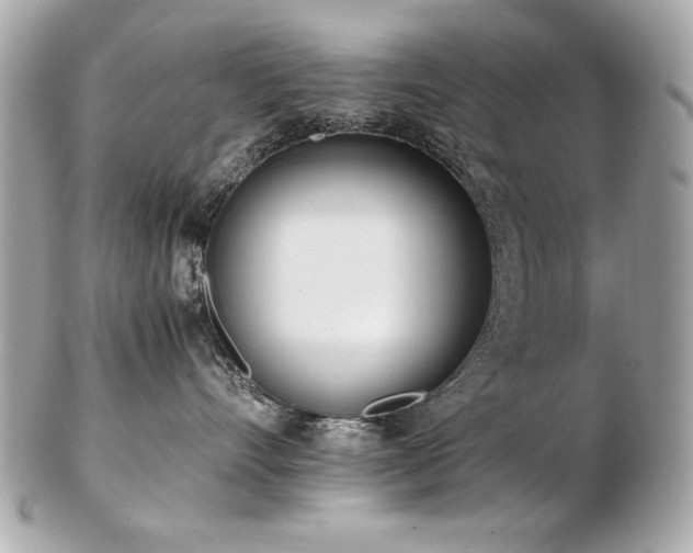 X0000103270528200808291243