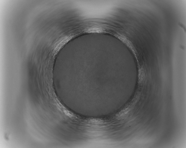 X0000103270529200808291242