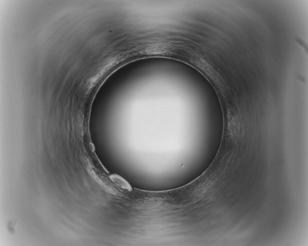 X0000103270530200808291242