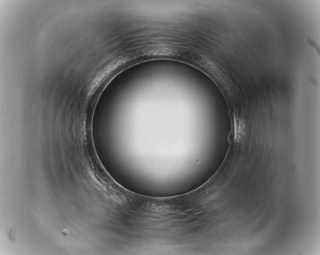 X0000103270531200808291242