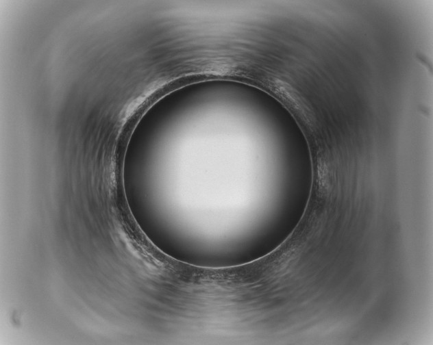 X0000103270532200808291242