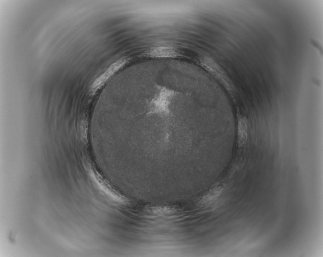 X0000103270533200808291242