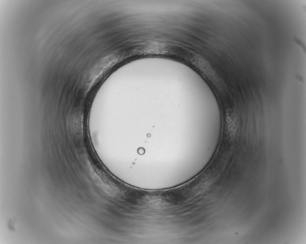 X0000103270534200808291242