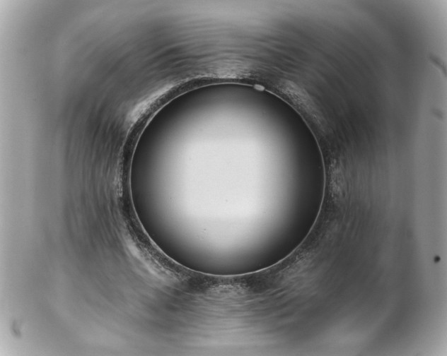 X0000103270536200808291242