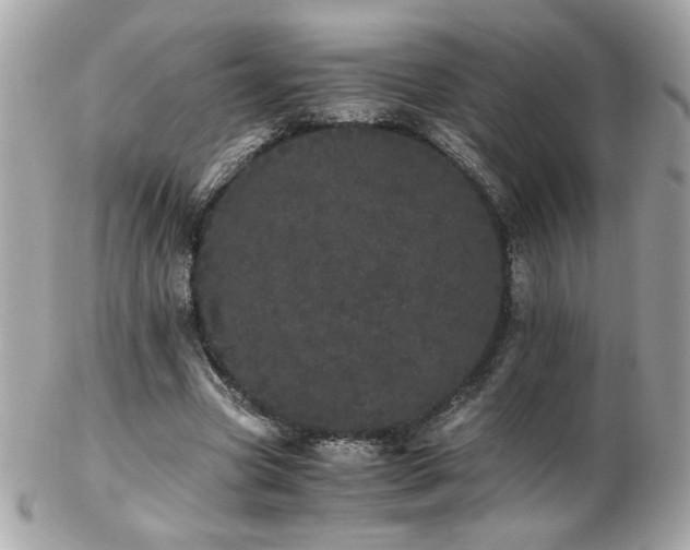 X0000103270537200808291242