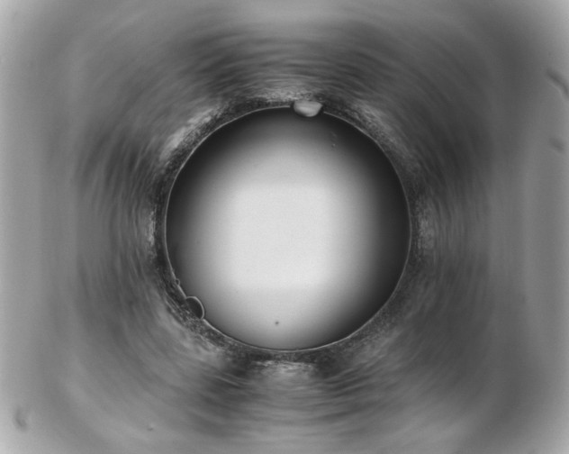 X0000103270539200808291242