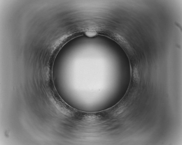 X0000103270540200808291242