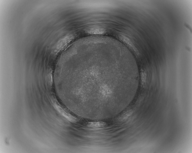 X0000103270541200808291242