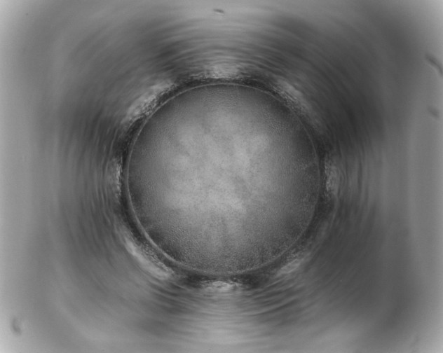 X0000103270542200808291242