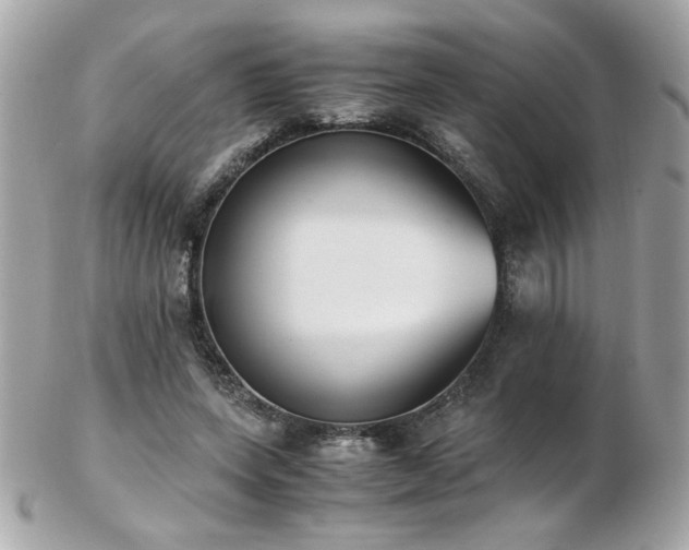 X0000103270543200808291242