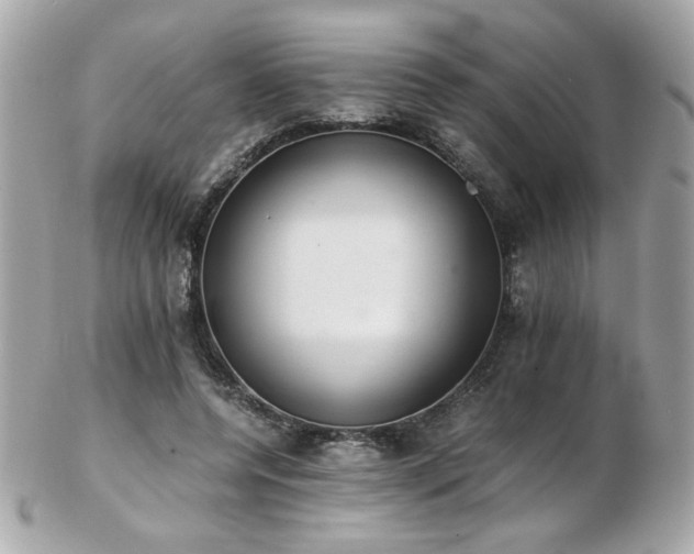 X0000103270544200808291242