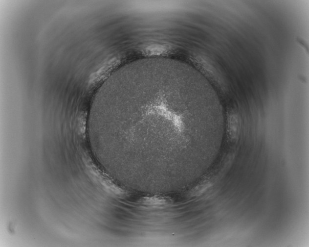 X0000103270545200808291242