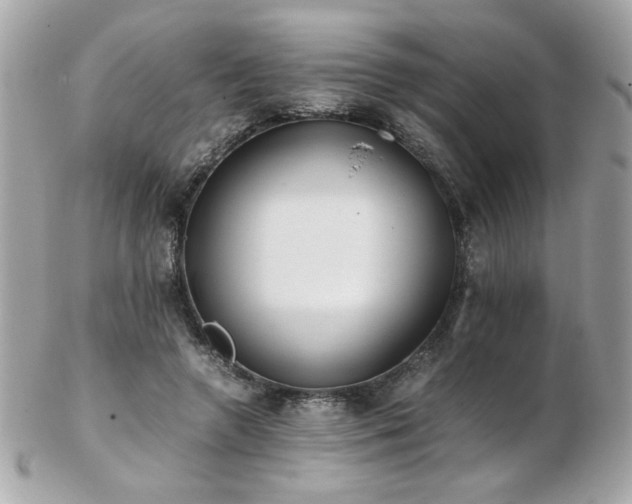 X0000103270546200808291242