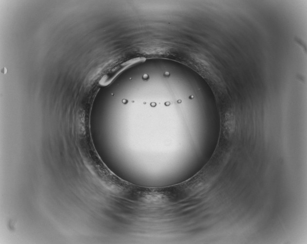 X0000103270547200808291242