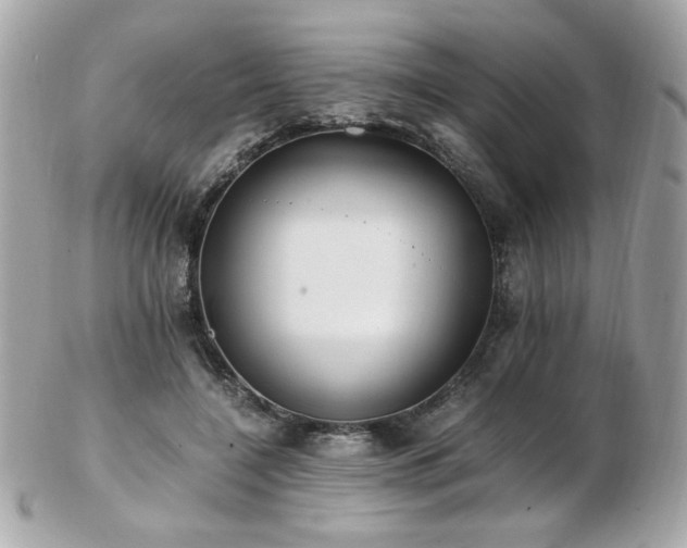 X0000103270548200808291242