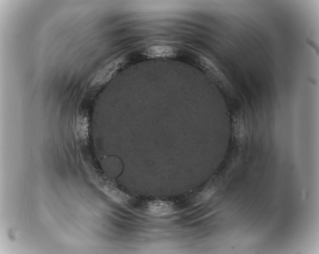 X0000103270549200808291243