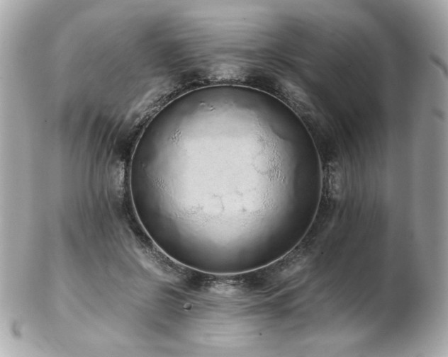 X0000103270550200808291243
