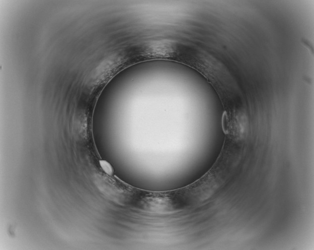 X0000103270552200808291243