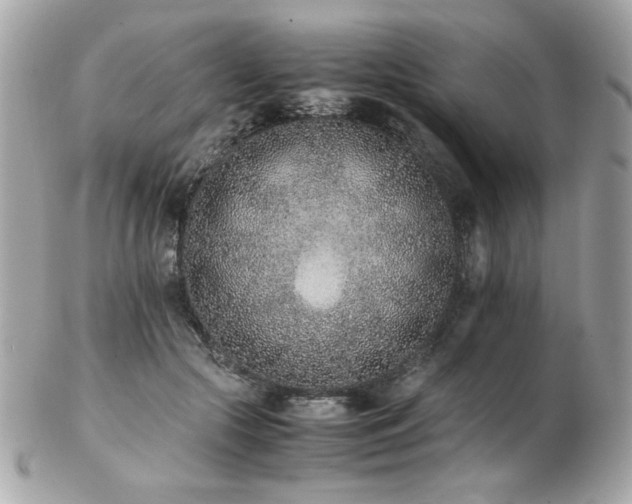 X0000103270553200808291243