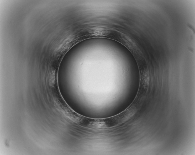 X0000103270554200808291243