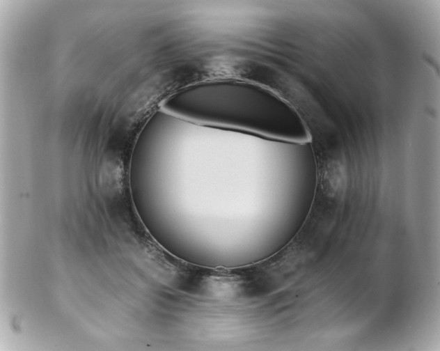 X0000103270556200808291243