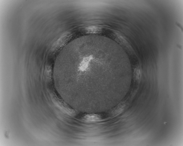 X0000103270557200808291243