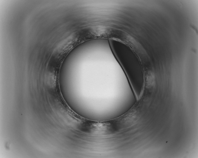 X0000103270558200808291243
