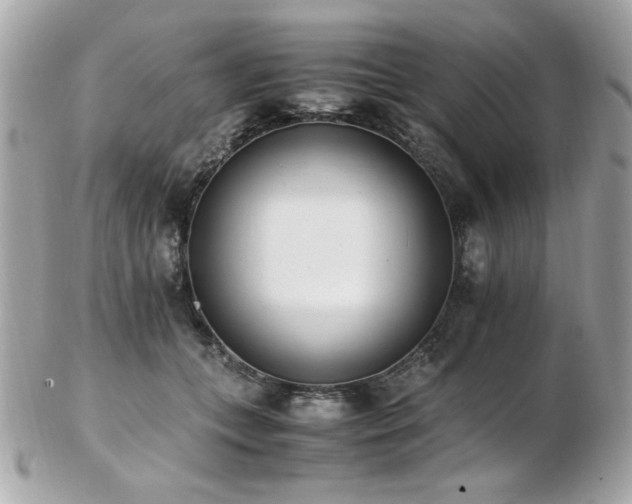 X0000103270559200808291243