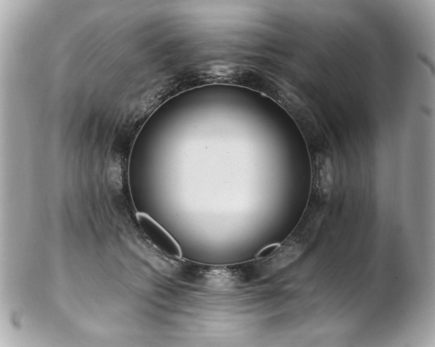 X0000103270562200808291243