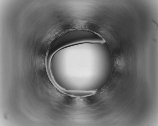 X0000103270566200808291243