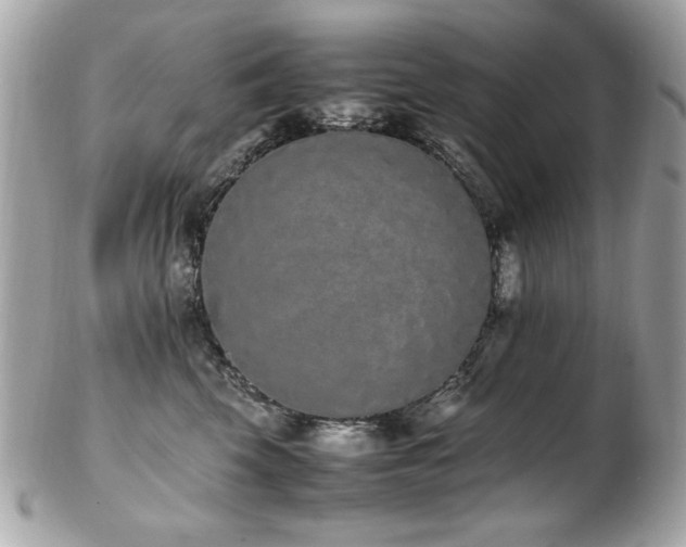 X0000103270569200808291243