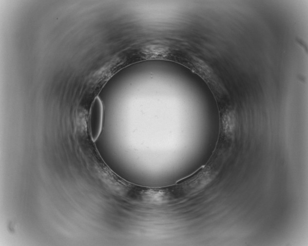X0000103270570200808291243
