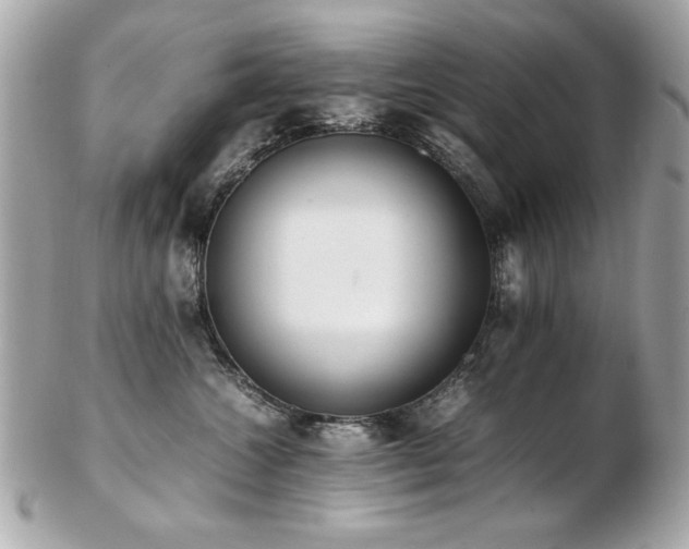 X0000103270572200808291243