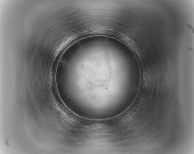 X0000103270578200808291242