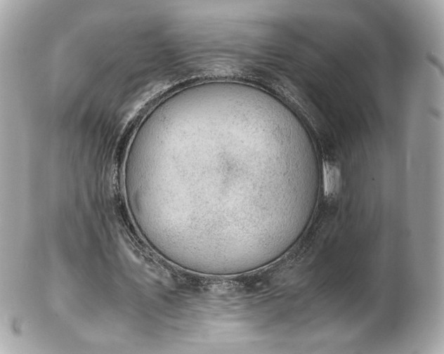 X0000103270579200808291242