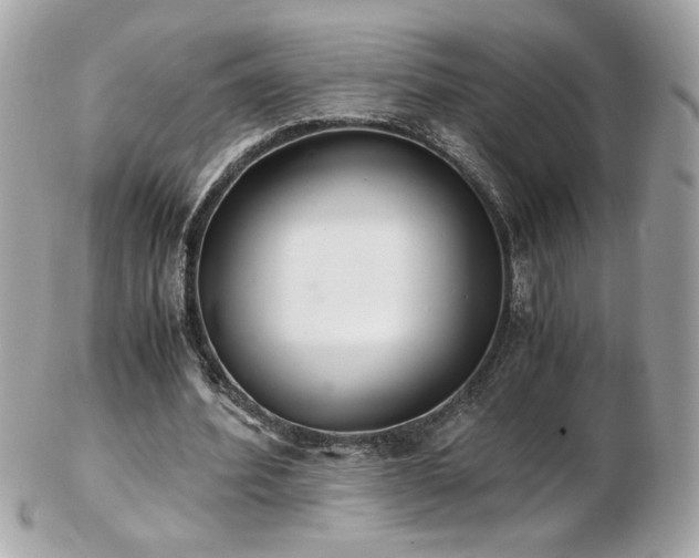 X0000103270580200808291242