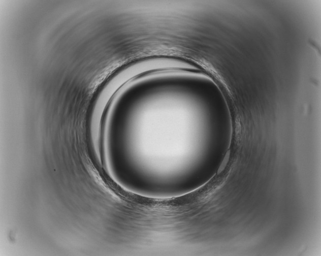 X0000103270581200808291242