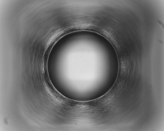 X0000103270582200808291242